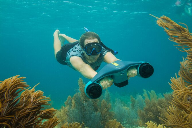 E-Snorkeling Tour in Bonaire With Easy Sea Scooters - Tips for an Enjoyable Experience