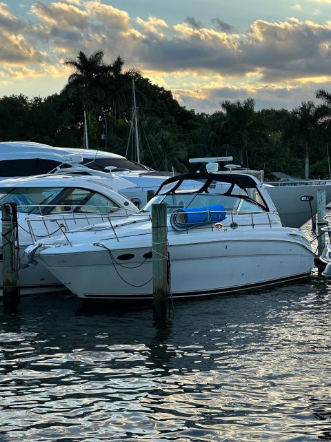 ⭐️⭐️⭐️⭐️⭐️ Private 🛥️ Yacht Rentals ⏰ 4h 🍾 Champagne Gift - Customer Reviews and Tips