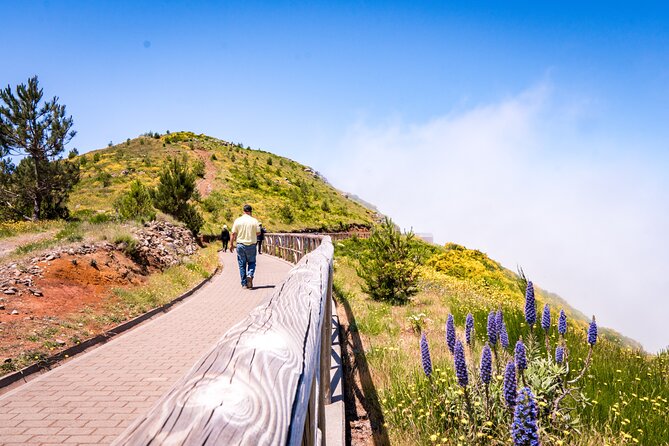 East of Madeira | Full Day 4x4 Tour - Leisurely Levada Strolls