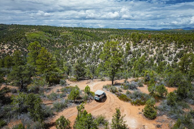 East Zion East Rim Jeep Tour - Safety Considerations