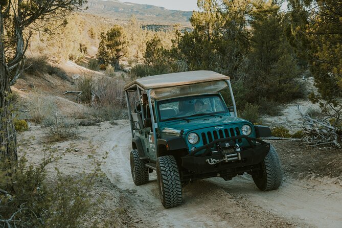 East Zion Top of the World Jeep Tour - Booking Process