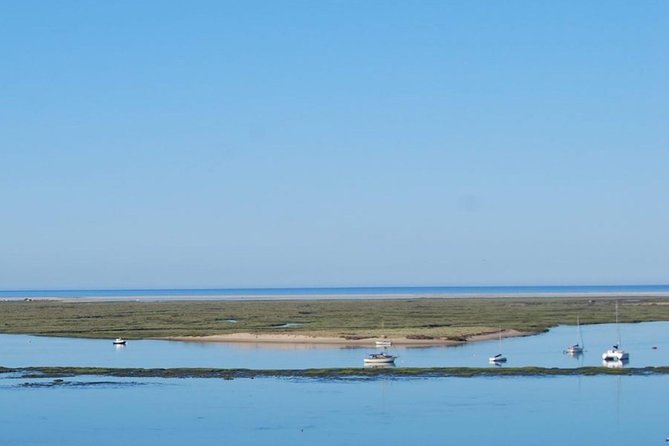 Eco Boat Tour in the Ria Formosa Lagoon From Faro - Tour Reviews and Ratings