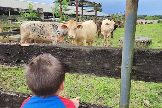 Eco Friendly Farming Tour to Explore Dorados Most Beautiful Farm - Farm Fresh Food Offerings