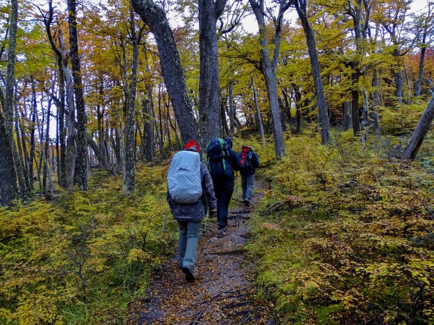 El Chaltén: Full-Day Sailing and Hike Tour - Inclusions and What to Expect