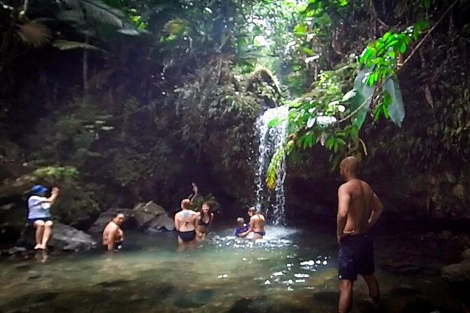 El Yunque Hike, Waterslide, Beach & Cuisine With Transport - Meet the Tour Guides