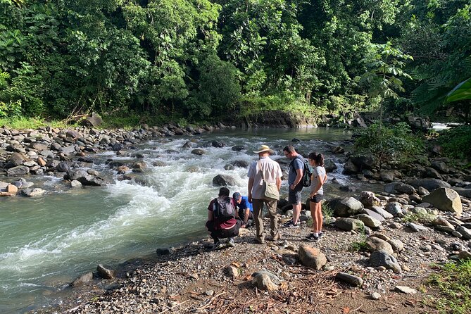 El Yunque National Forest and Luquillo Beach Combo - Exploring Puerto Rican Heritage