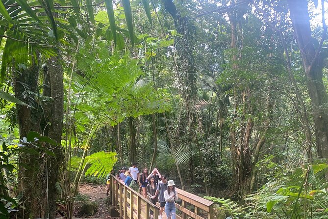 El Yunque Rainforest Hiking Tour From San Juan - Tips for an Enjoyable Tour