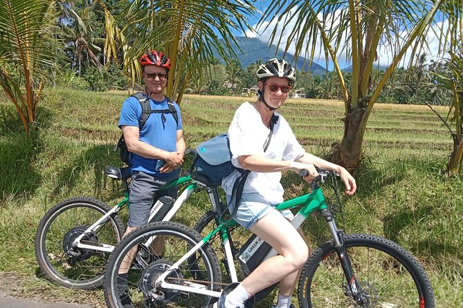 Electric Bicycle Tour in Jatiluwih UNESCO Site - Safety and Accessibility