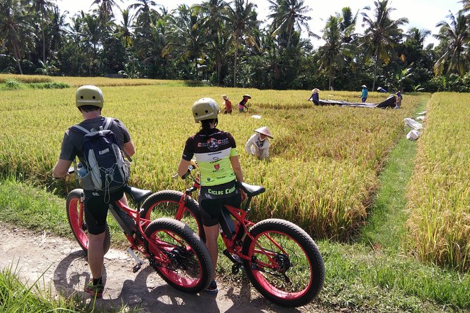 Electric Bike Tour in Ubud - Additional Information