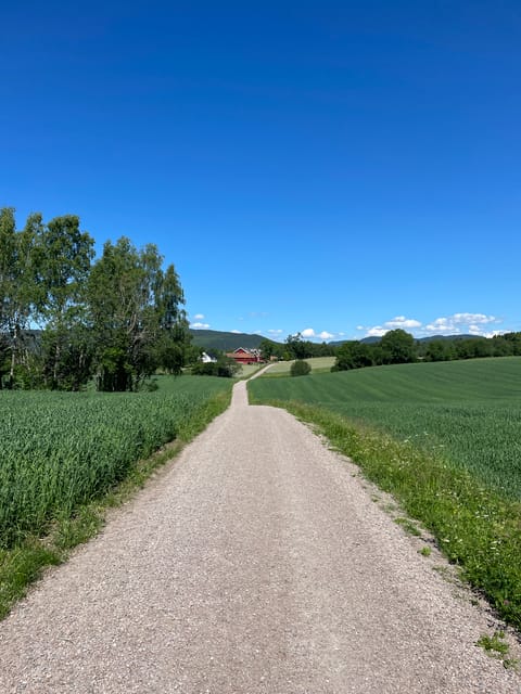 Electric Mountain Bike Tour in the Forest of Oslo - Booking Information