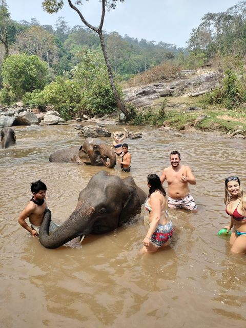 Elephant Care and Grand Canyon Jumping - Return to Chiang Mai