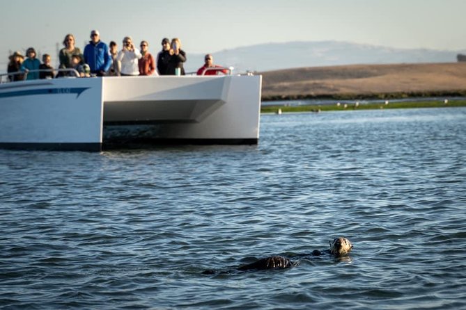 Elkhorn Slough Wildlife Tour - Booking and Cancellation Policy