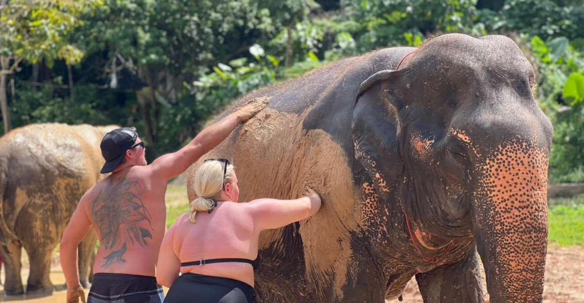 Enjoy Elephant Bathing and Herb With Elephant - Included in the Tour