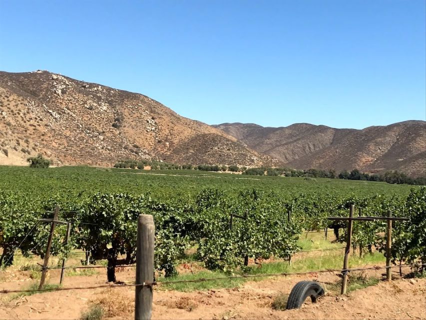 Ensenada: Wine Tasting Tour in Valle De Guadalupe - Meeting Point and Directions