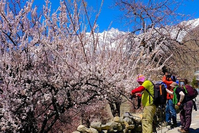 Epic Jeep Safari & Cultural Adventure: Explore Gilgit Baltistan - Meeting and Pickup Details