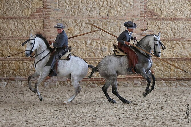Equestrian Show Royal Stables of Córdoba - Future of Equestrian Activities