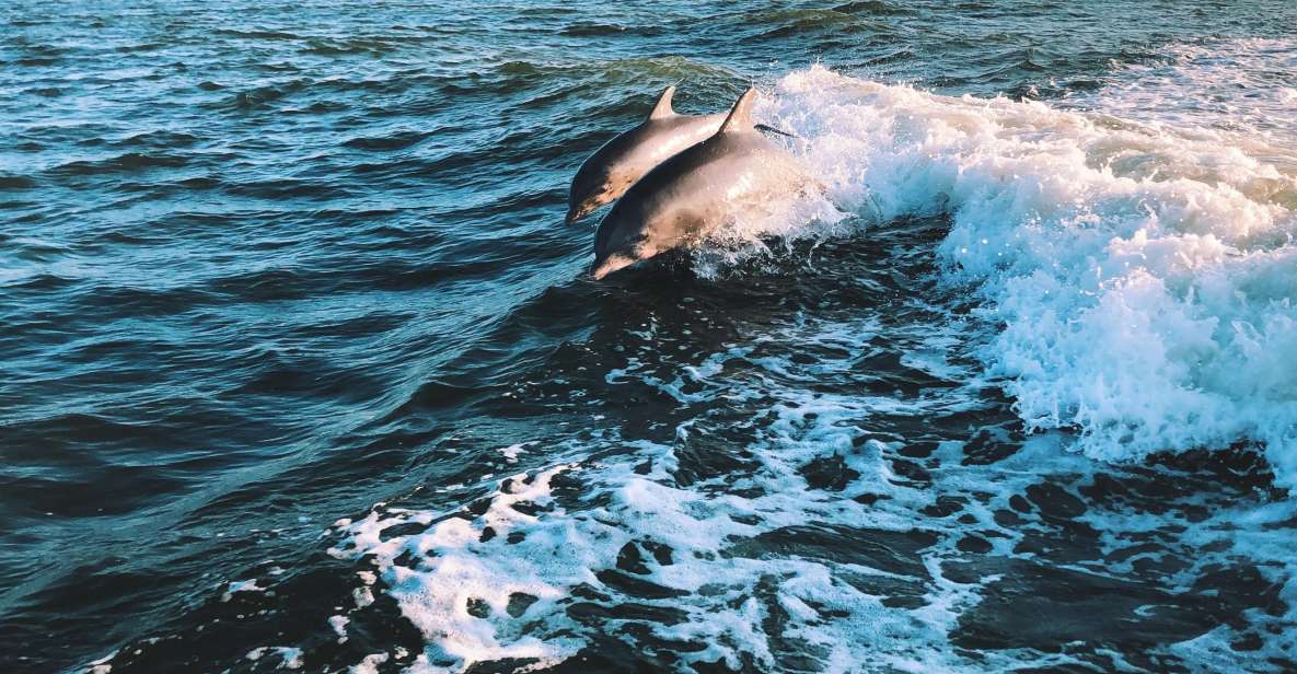 Estepona Sailing Experience: Boat Tour With Drinks & Picnic - Weather Policy