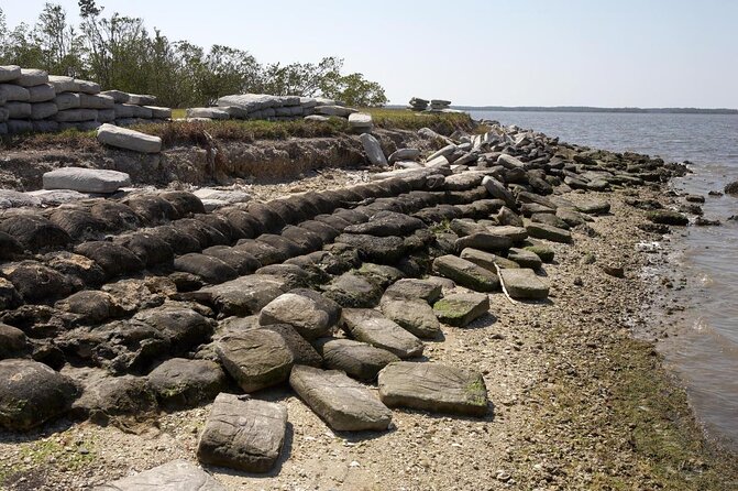 Everglades National Park Dolphin, Birding and Wildlife Boat Tour (2 Hours) - What to Expect