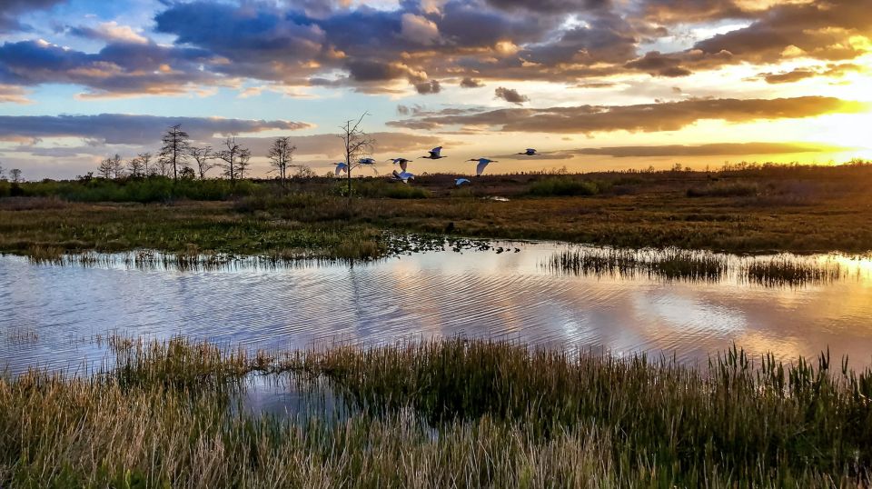 Everglades: Sawgrass Park Airboat Adventure Package - Meeting Point and Logistics