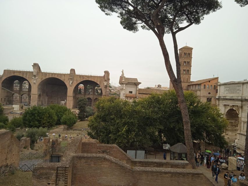 Exclusive Tour of Ancient Rome and Domus Tiberiana - Customer Feedback