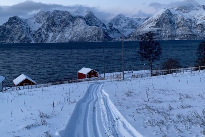 Experience Cross-Country Adventure in Tromsø - What to Expect During the Tour