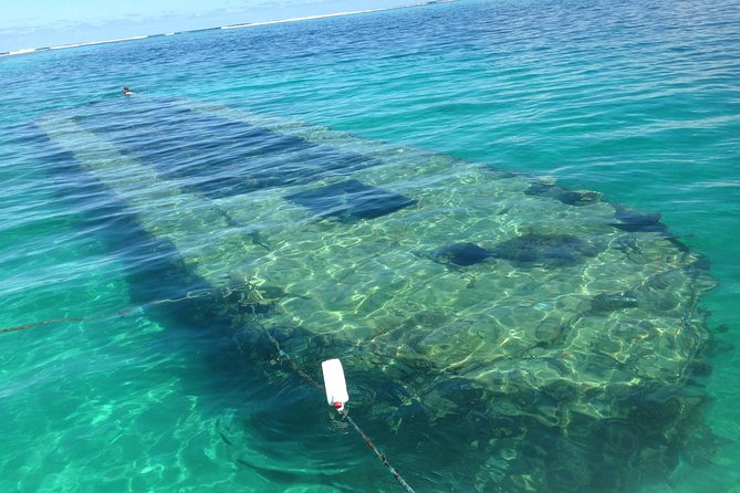 Experience on a Boat off the Beaten Track of the Most Beautiful Lagoon in Guadeloupe - Guided Tour and Insider Knowledge