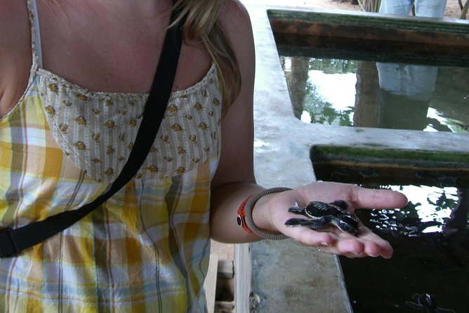 Explore Bentota Village: Guided Tuk Tuk Safari - Cancellation Policy