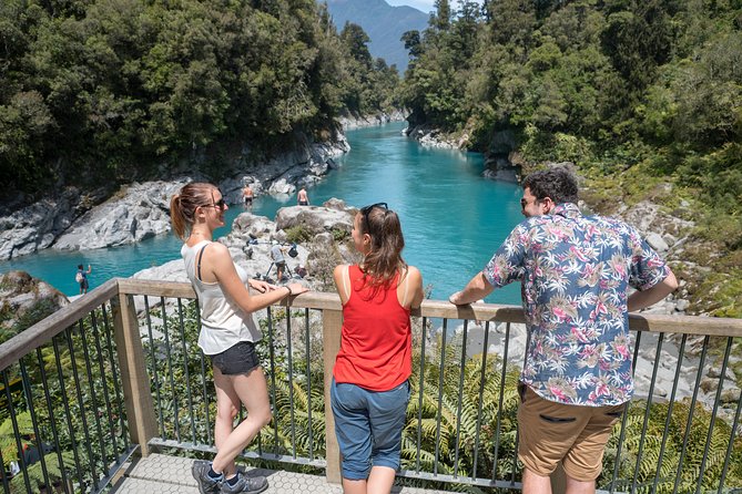 Explore Hokitika Gorge and Tree Top Walkway - Reviews and Visitor Feedback