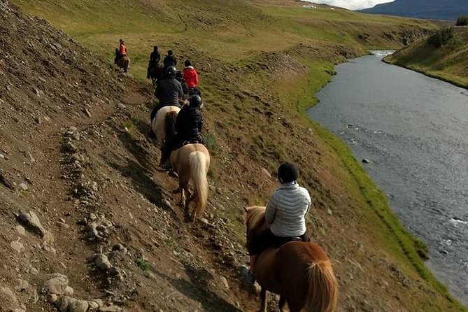 Family Friendly Horse Riding Tour in Skagafjörður - Booking Information