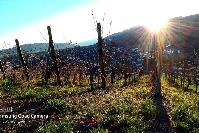 Fantastic, Full Day, Private Wine Tour to Alsace! - Meeting and Pickup Options