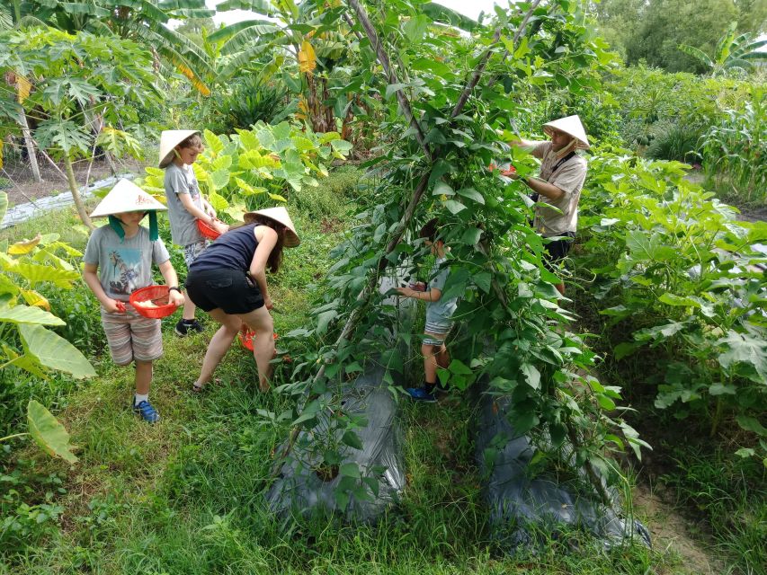 Farm-To-Table Healthy Cooking Class: Half-Day Tour - Cooking Techniques and Skills