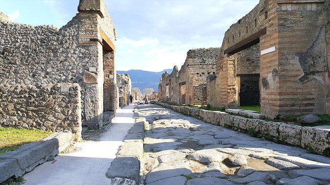 Fast Access Exclusive Private Ancient Pompeii Half Day Tour With Local Guide - Accessibility and Requirements