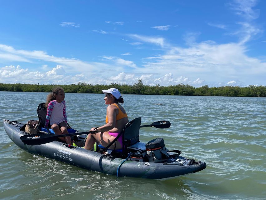 Fort Pierce: 4-hr Mangroves & Dolphin Watch Sandbar in FL - Exploring the Mangrove Ecosystem