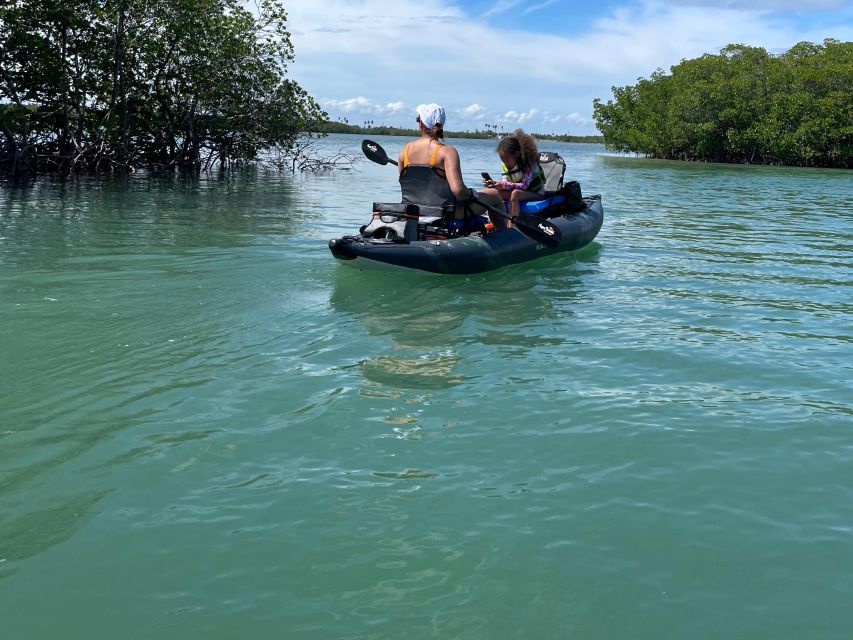 Fort Pierce: 6-hr Mangroves, Coastal Rivers & Wildlife in FL - Recharge at Marina