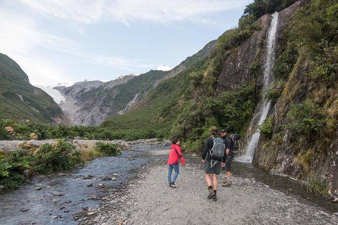 Franz Josef Nature Tour - Pricing and Cancellation Policy