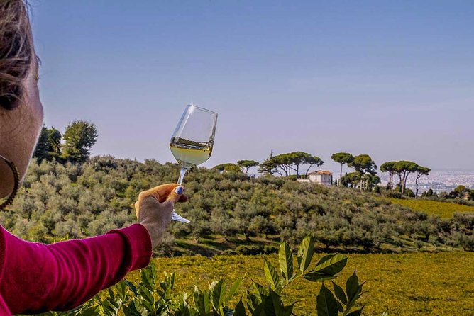 Frascati Wine Tasting Tour: The Flavors of the Roman Countryside - Accessibility Considerations