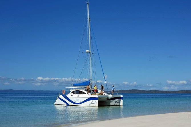 Fraser Island & Dolphin Sailing Adventure - Customer Experiences