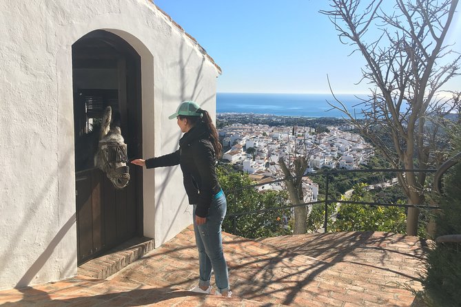 Frigiliana Small-Group Hike and Wine Tasting Tour From Malaga - What to Expect on the Hike