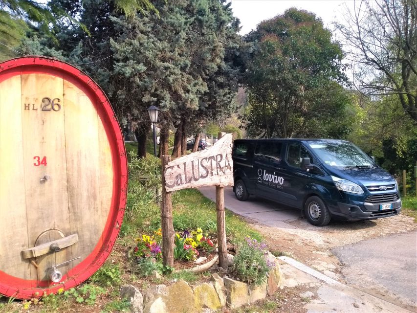 From Abano Montegrotto: Euganean Hills Guided Wine Tour - Agency Accompaniment and Cultural Experience