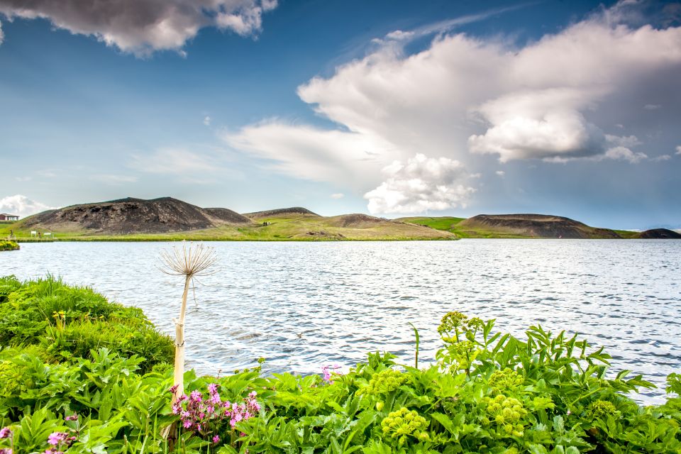 From Akureyri: Lake Mývatn Guided Tour With Lunch - Lunch Arrangements