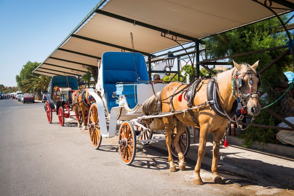 From Athens: Hydra, Poros, and Aegina Day Cruise With Lunch - Important Travel Information