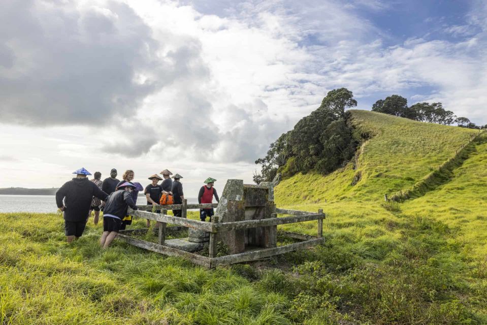 From Auckland: Browns Island Motukorea Sea Kayak Tour - Important Information