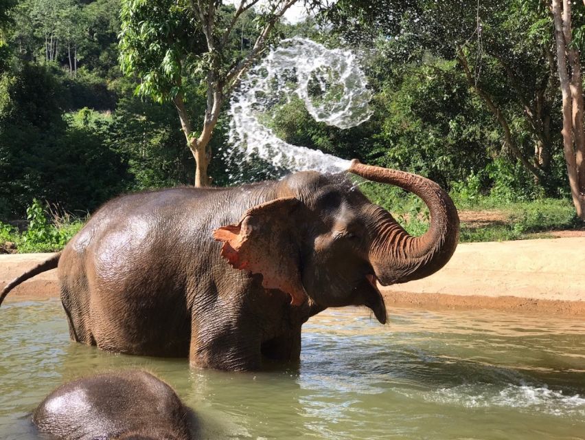 From Bangkok: Pattaya Ethical Elephant Sanctuary Day Trip - What to Bring and Wear