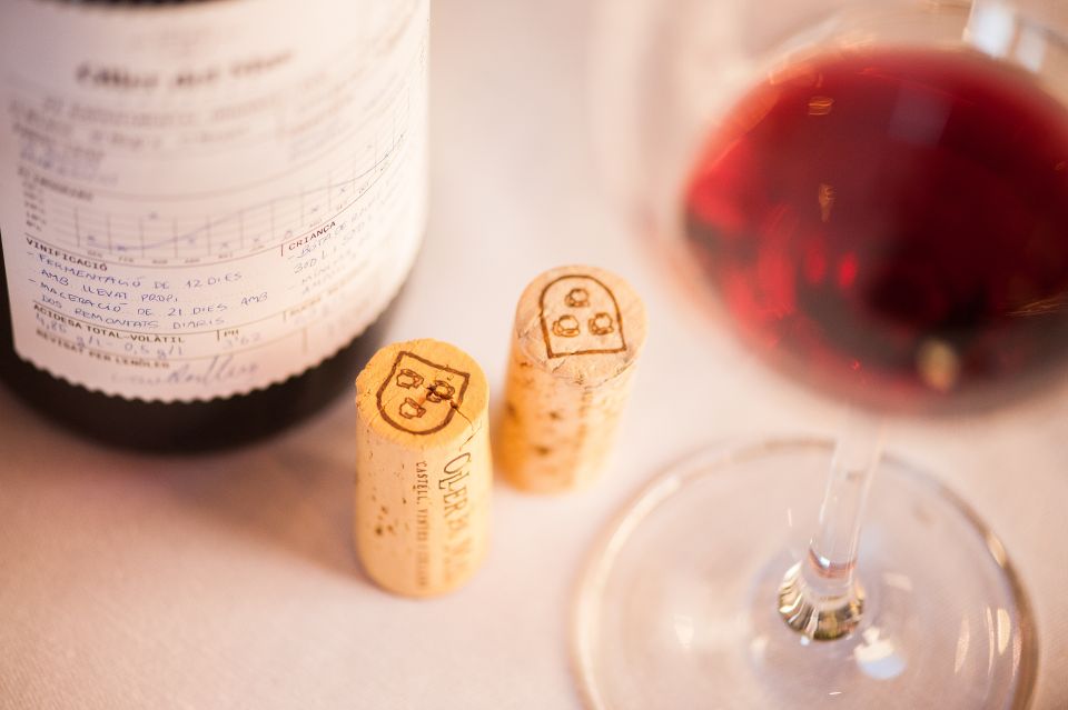 From Barcelona: Private Wine, Tapas and Cava Tour - Tapas and Charcuterie