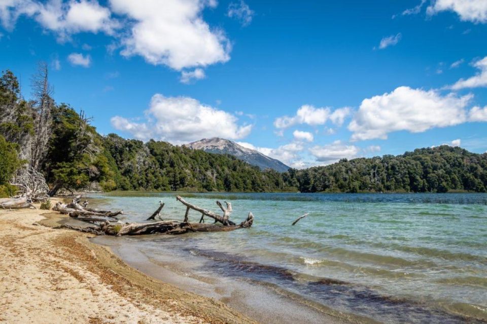 From Bariloche: Victoria Island & the Arrayanes Forest Tour - Customer Experience Ratings