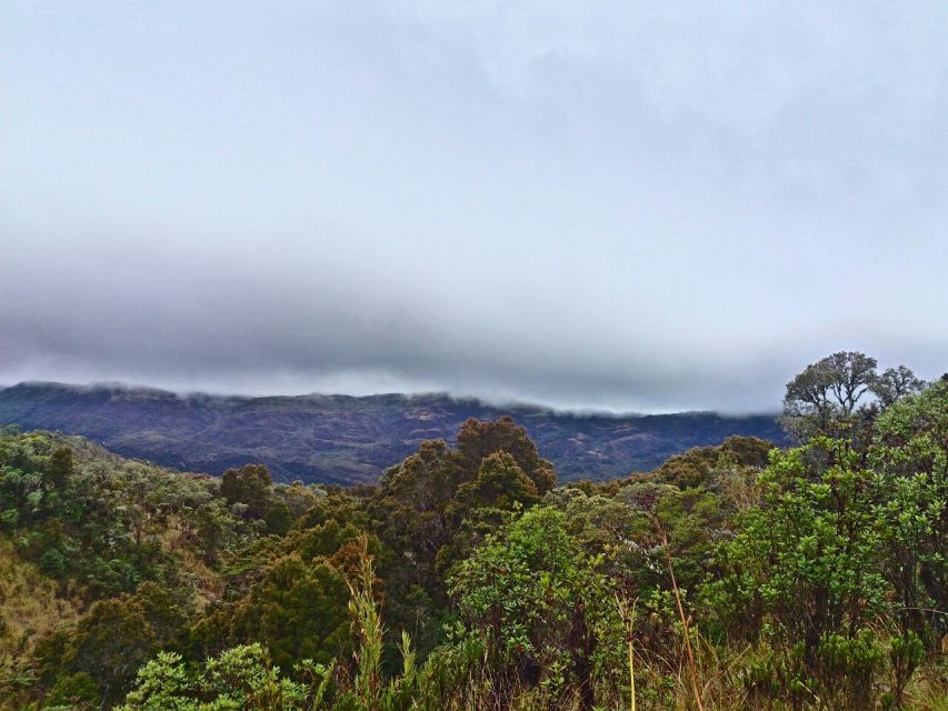 From Bogotá: Chingaza National Park Eco Tour - Historical Significance of the Park