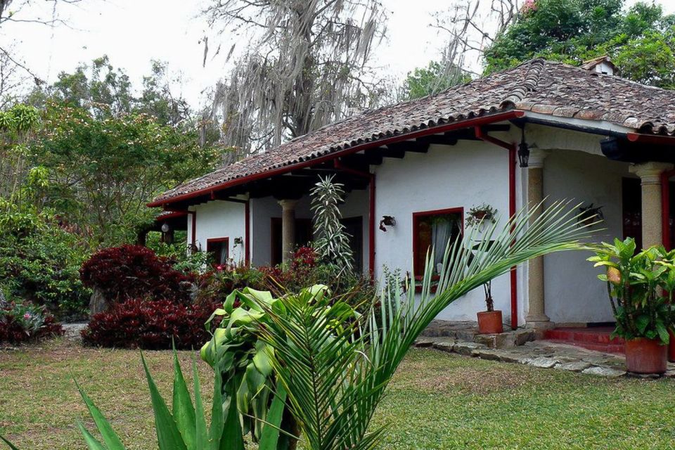 From Bogotá: the Coloma Coffee Farm Day Trip With Lunch - Coffee Farming Process