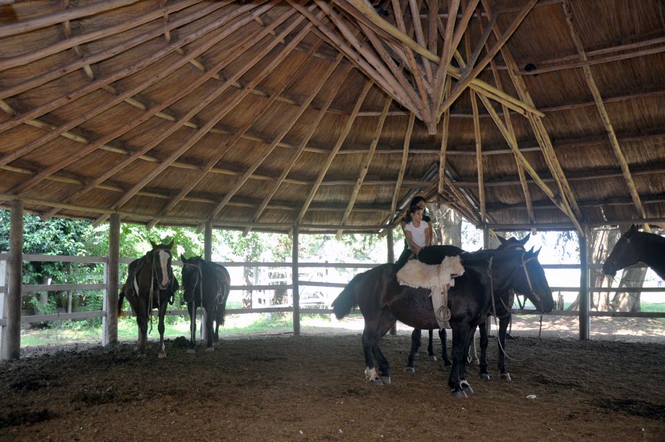 From Buenos Aires: Don Silvano Ranch Tour With Lunch. - Booking and Cancellation Policies