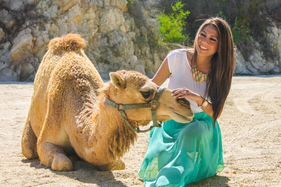 From Cabo: The Tule Canyon Camel Adventure - Sipping Tropical Drinks at Lions Den