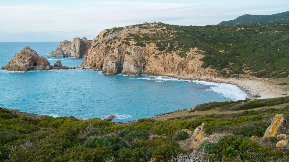 From Cala Domestica: Half-Day Excursion to Capo Pecora - Booking Process